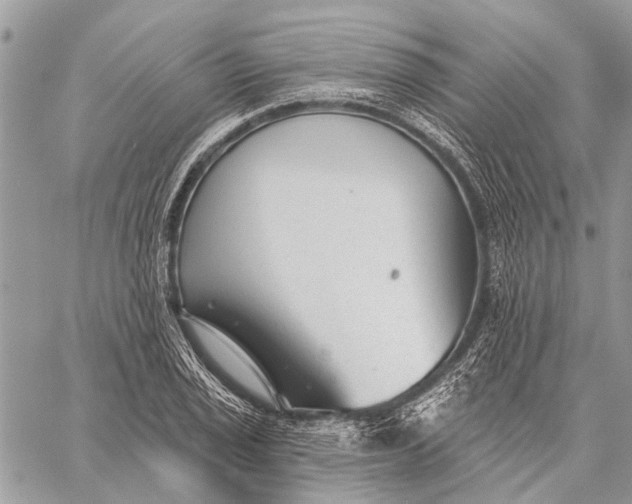 X0000059081029200510281718