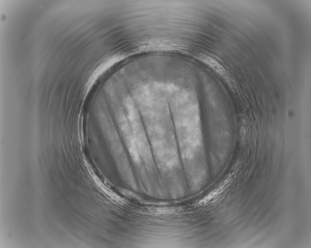 X0000059081030200510281718