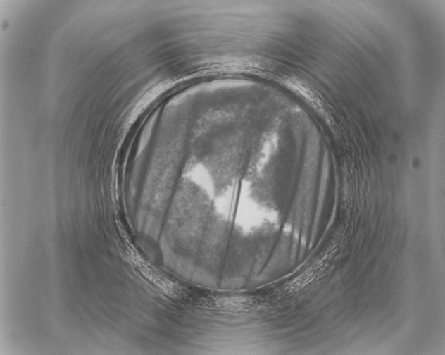 X0000059081031200510281718