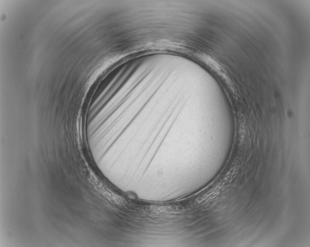 X0000059081032200510281718