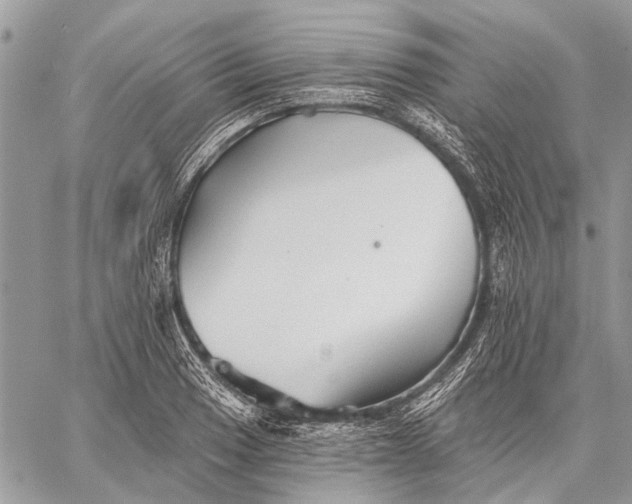 X0000059081033200510281718