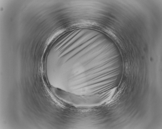 X0000059081034200510281718