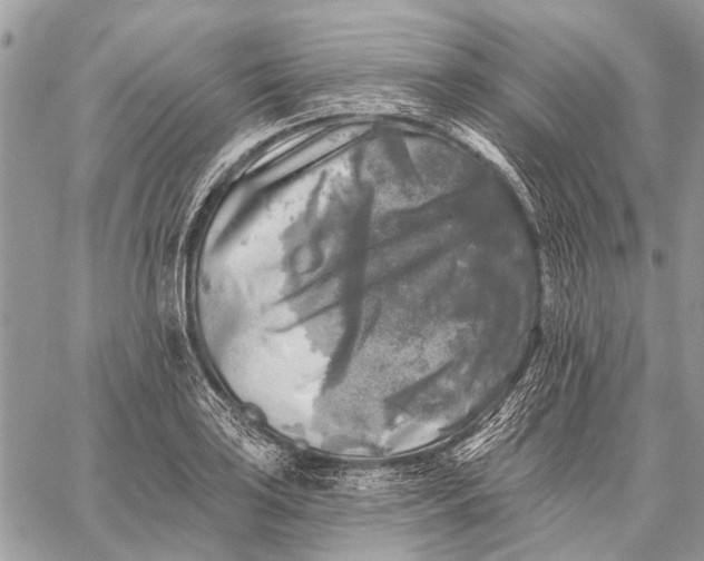 X0000059081035200510281718