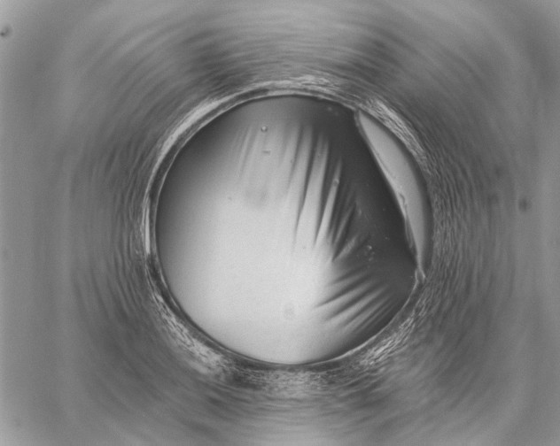 X0000059081036200510281718