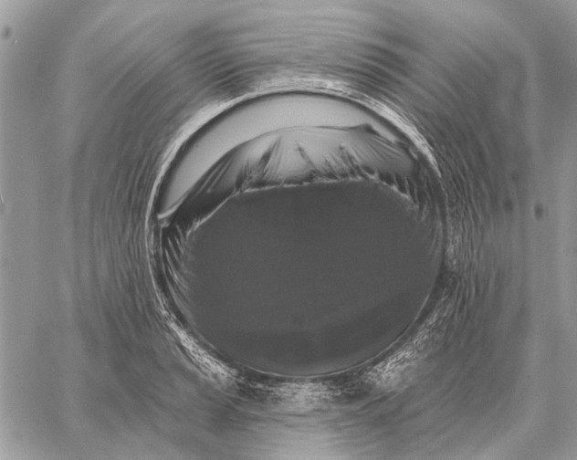 X0000059081037200510281718