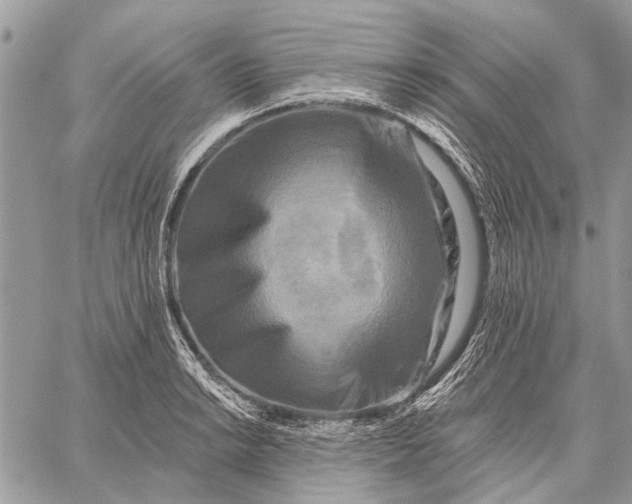 X0000059081038200510281718