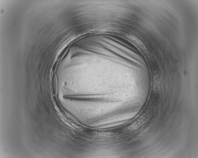 X0000059081039200510281718