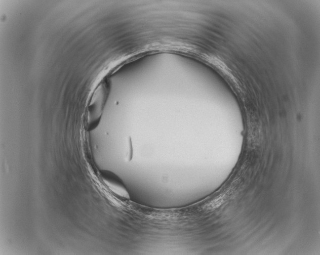 X0000059081040200510281718