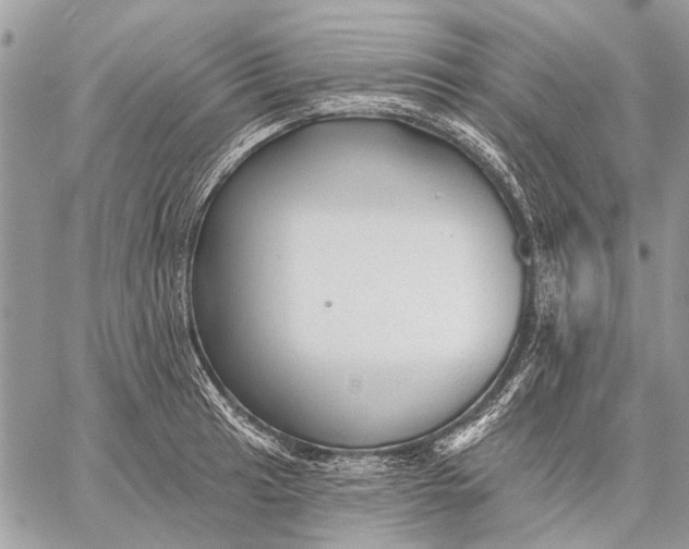 X0000059081041200510281718