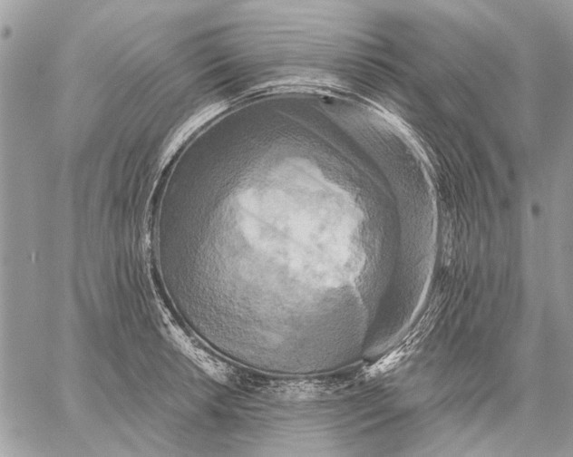 X0000059081042200510281718