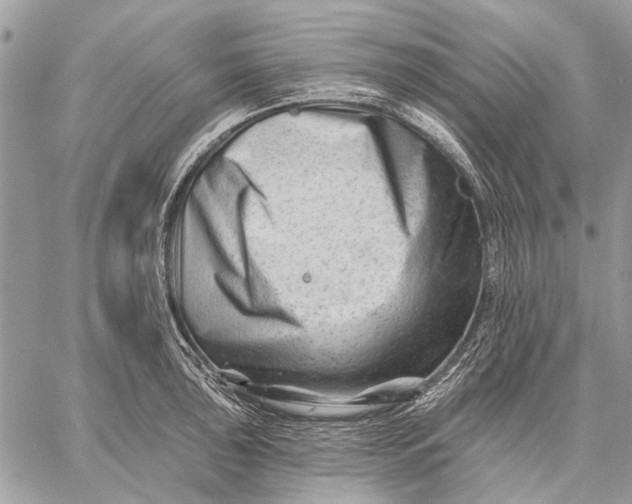 X0000059081043200510281718