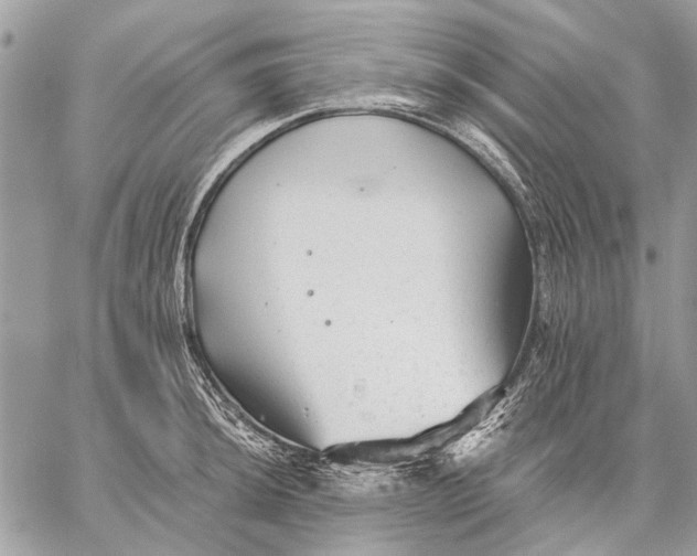 X0000059081044200510281718