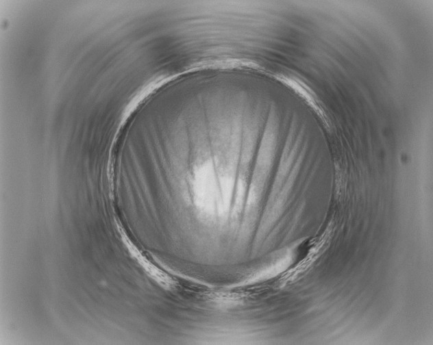 X0000059081046200510281718