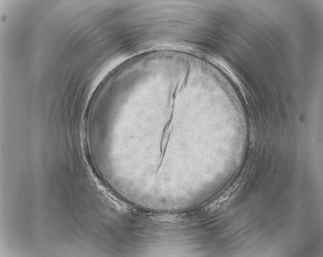 X0000059081048200510281718