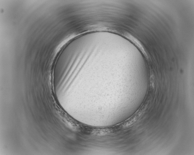 X0000059081051200510281718