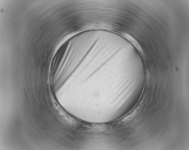 X0000059081052200510281718