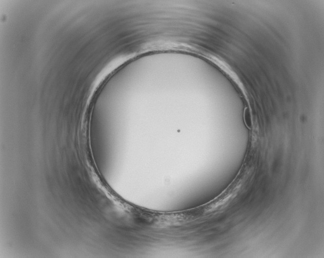 X0000059081053200510281718