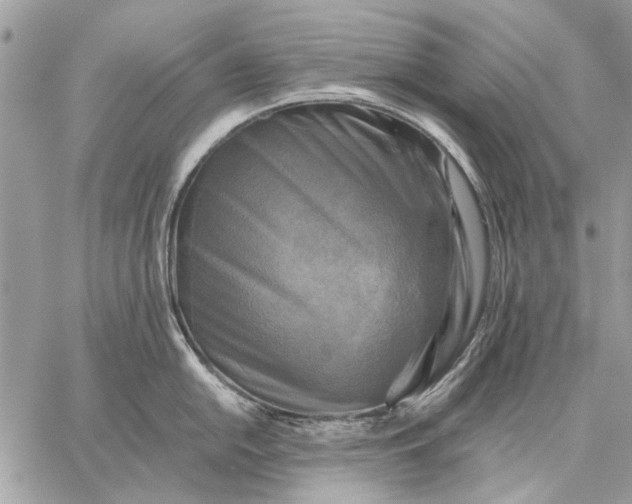 X0000059081054200510281718