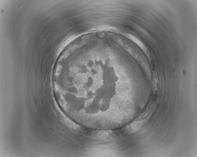 X0000059081055200510281718