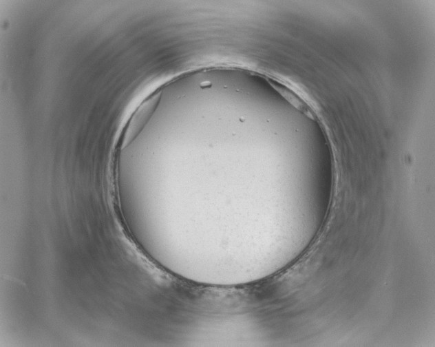 X0000059081056200510281718