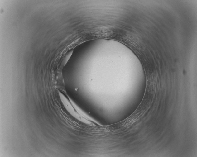 X0000059081058200510281718