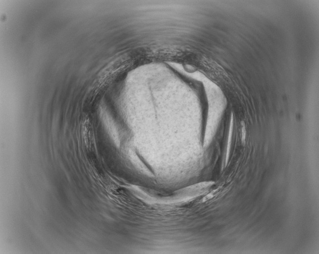 X0000059081059200510281718