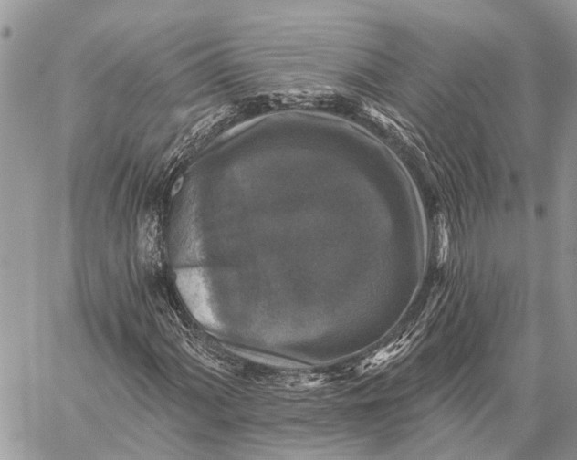 X0000059081060200510281718