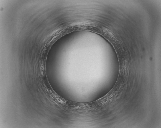 X0000059081062200510281718