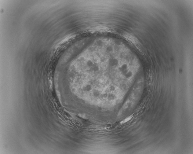 X0000059081063200510281718