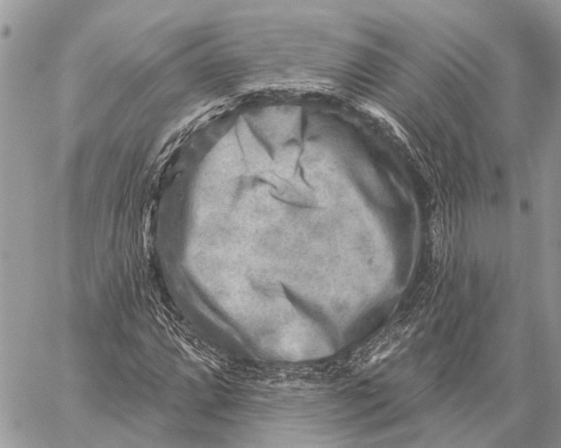 X0000059081064200510281718