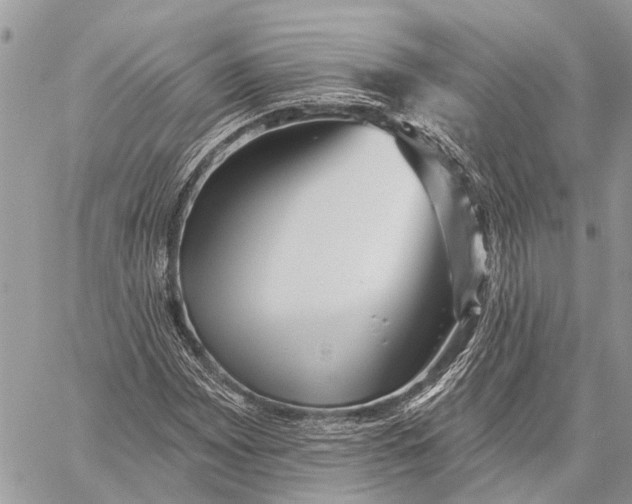 X0000059081065200510281718