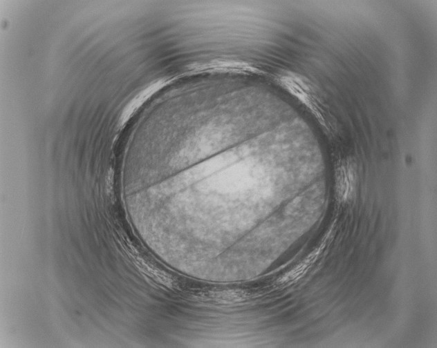 X0000059081066200510281718