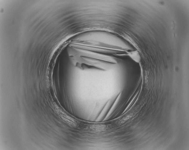 X0000059081068200510281718