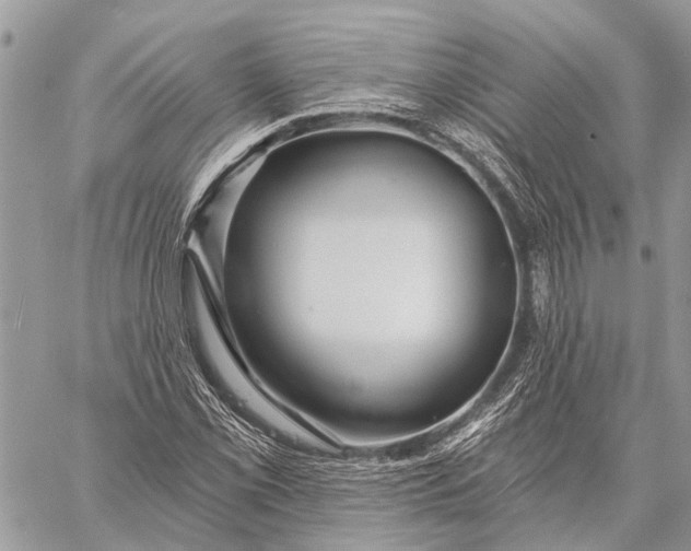 X0000059081069200510281718