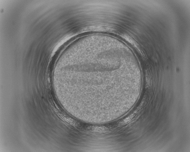 X0000059081070200510281717