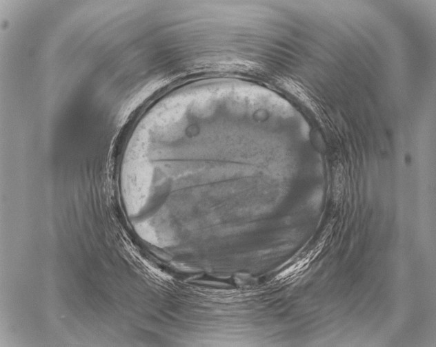 X0000059081071200510281717