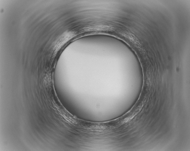 X0000059081073200510281717