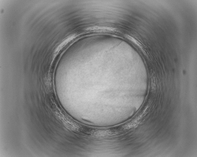 X0000059081074200510281717