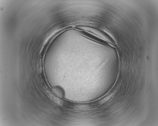 X0000059081075200510281717