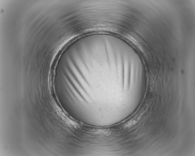 X0000059081076200510281717