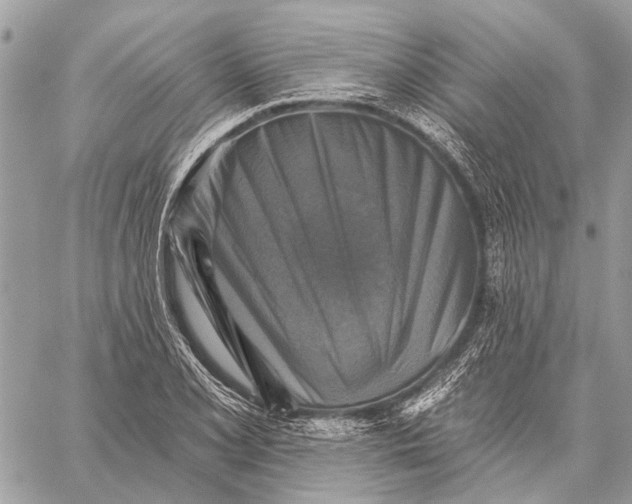 X0000059081077200510281717