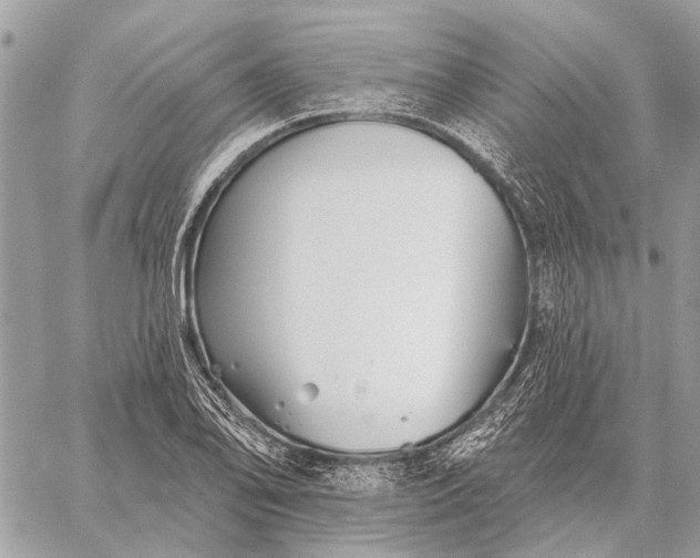 X0000059081078200510281717