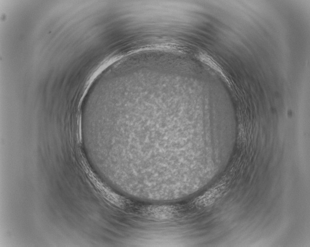 X0000059081079200510281717