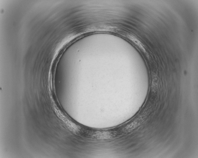 X0000059081080200510281717