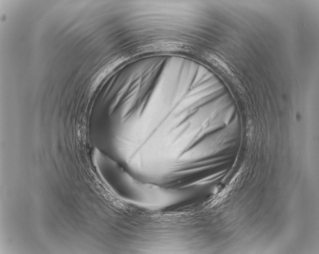 X0000059081081200510281717