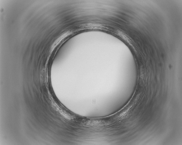 X0000059081082200510281717