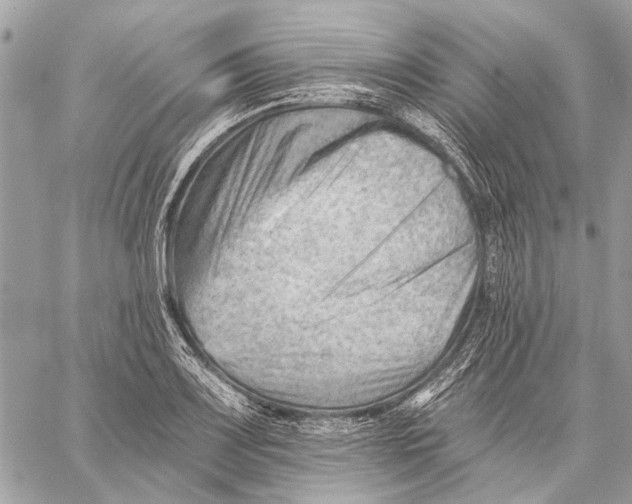 X0000059081083200510281717