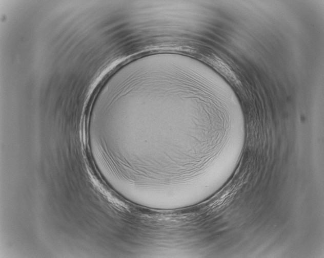 X0000059081084200510281717