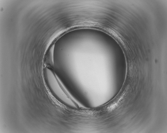 X0000059081085200510281717