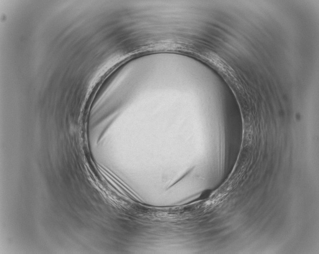 X0000059081086200510281717